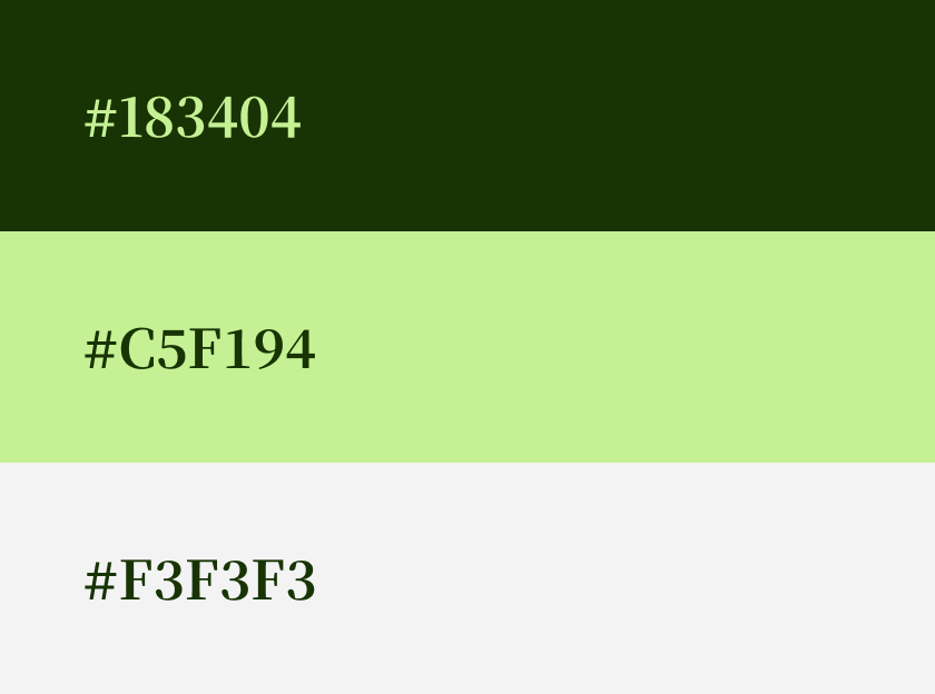 Image de gallerie 1 Import Beauty